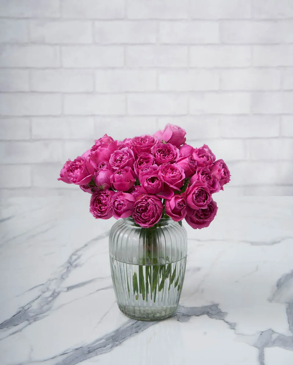 baby blooms misty bubbles 1