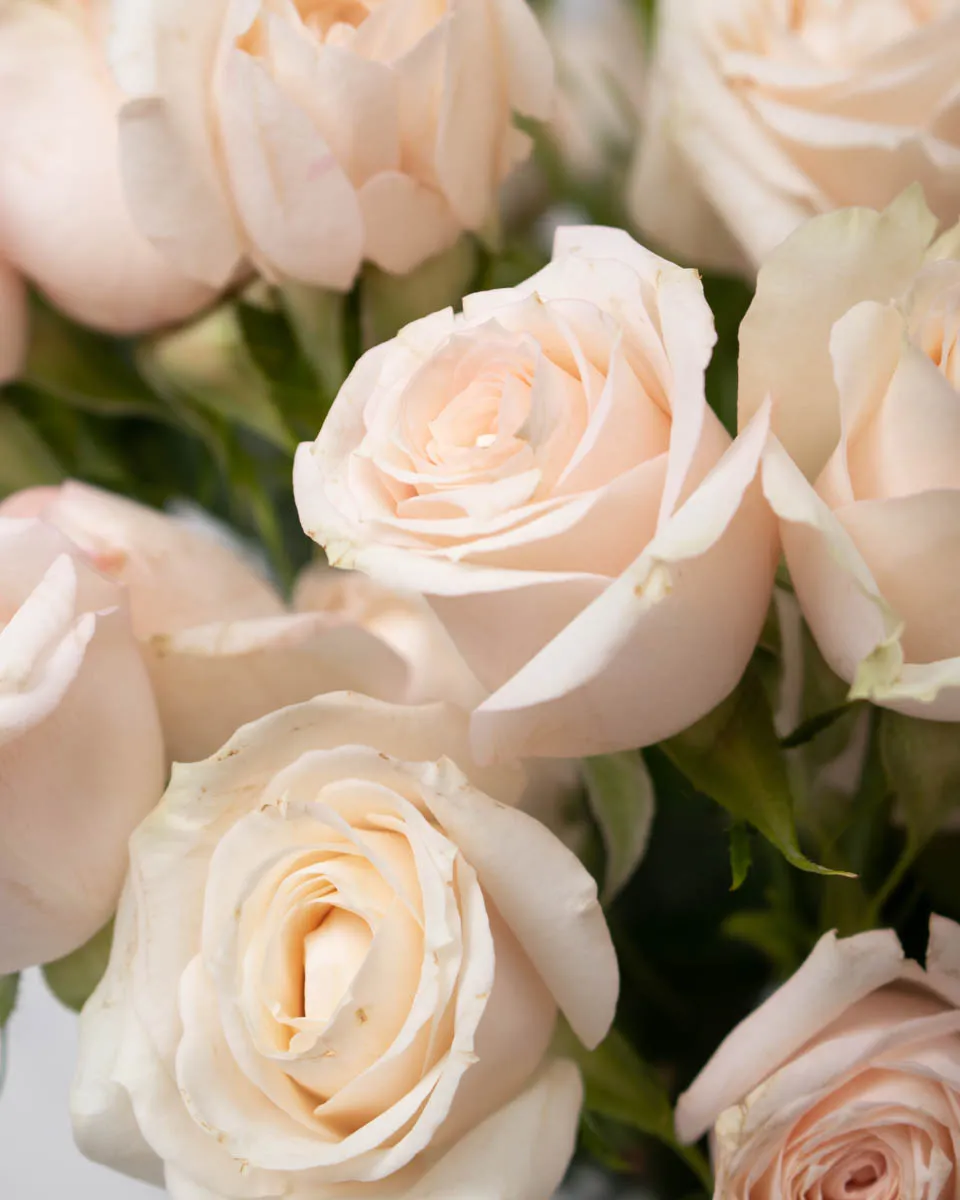 baby blooms super bubbles detaile2