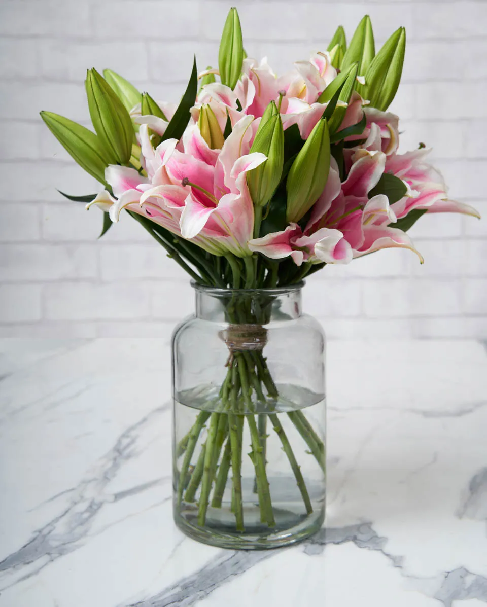 celebrating liliy pink 1