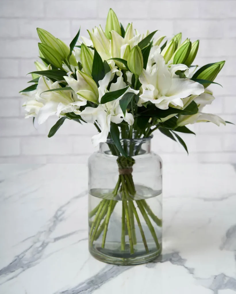 celebrating liliy white  Edited