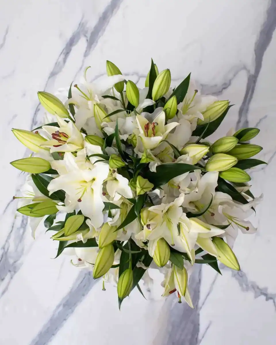 celebrating liliy white detailed 3 1