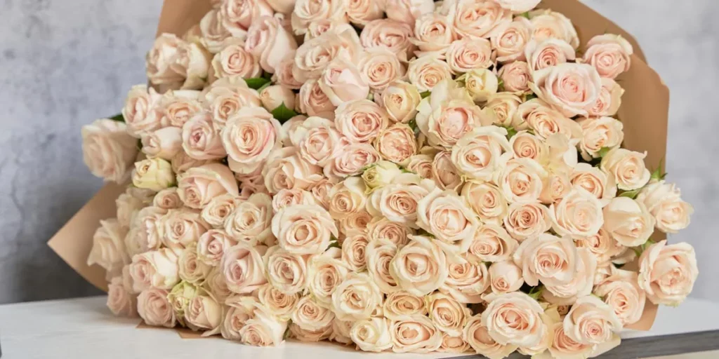 congratulation flowers