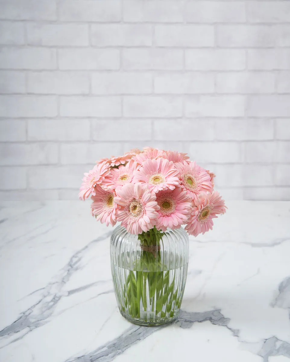 delightful daisy light pink