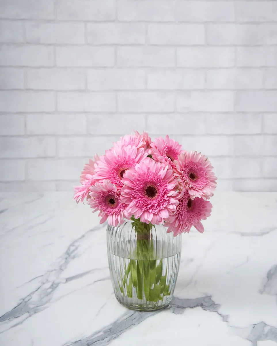 delightful daisy pink
