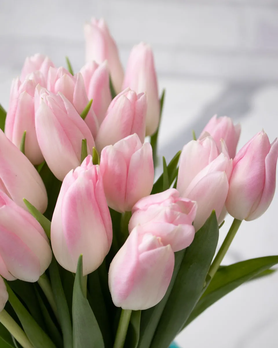 demure tulip pink green vase detailed 1