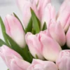demure tulip pink green vase detailed 2 1