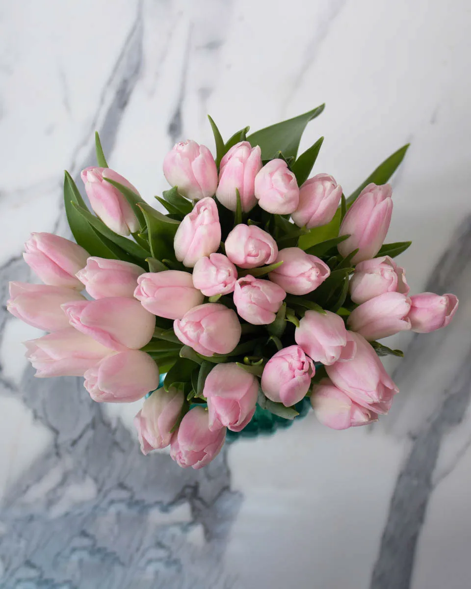 demure tulip pink green vase detailed 3 1