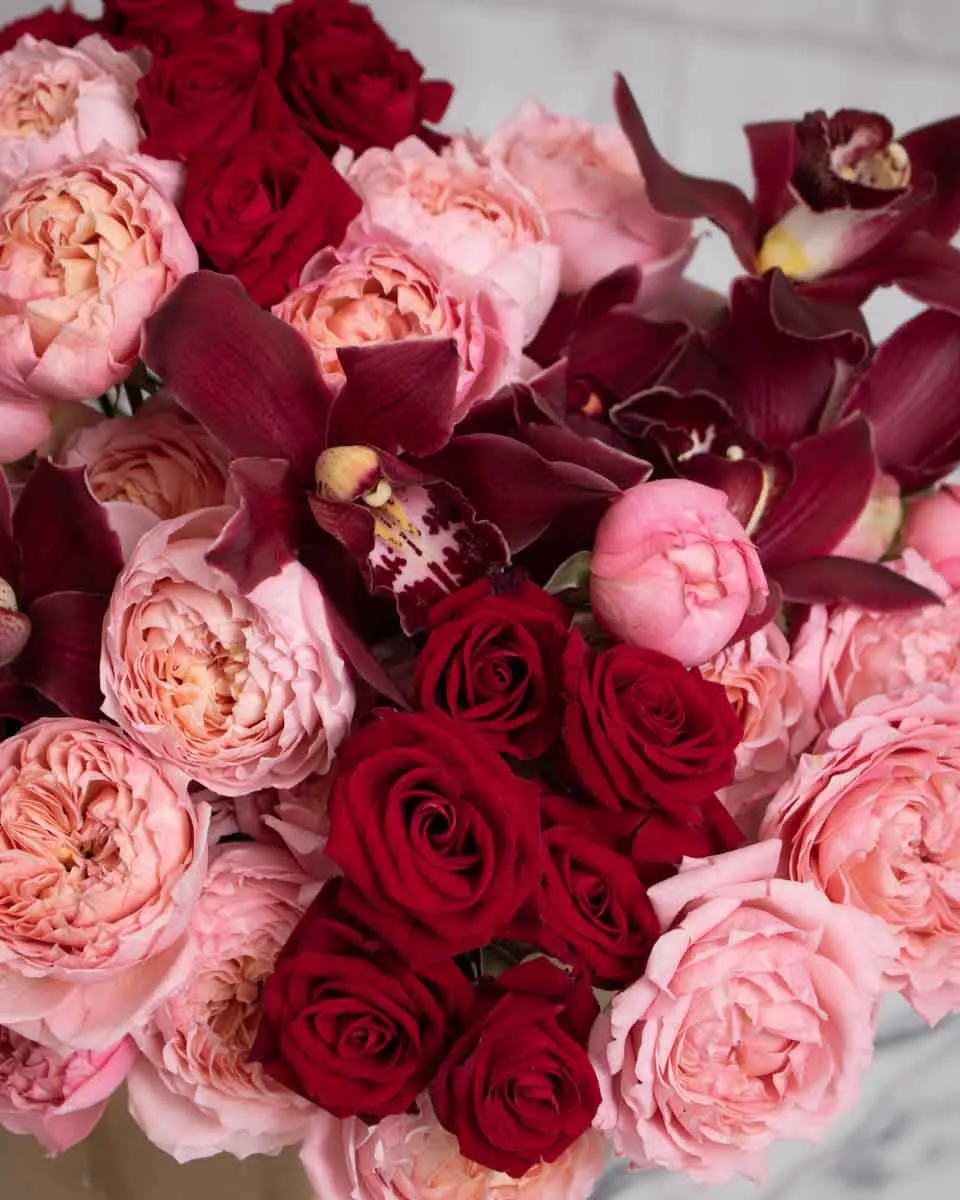 elizabeth detailed 1