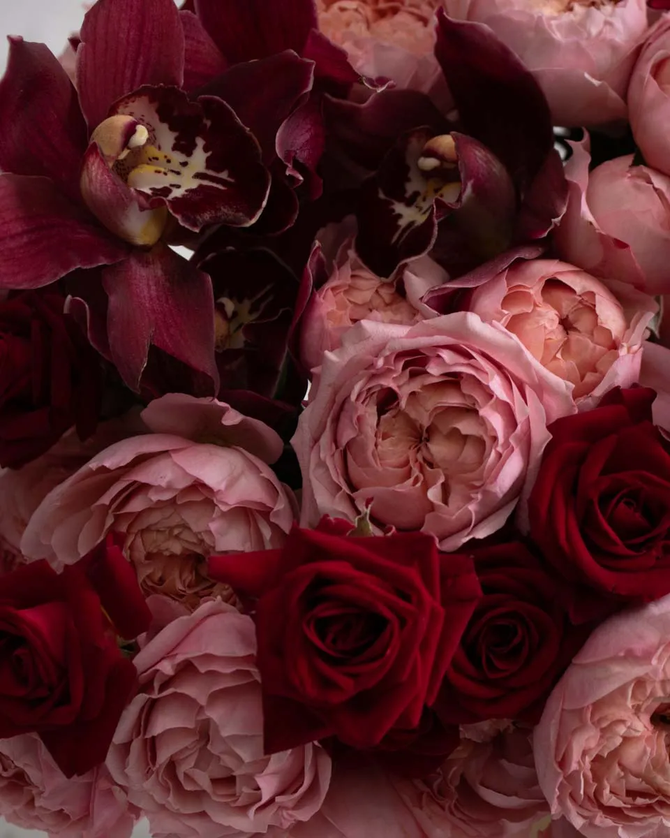 elizabeth detailed 2 1