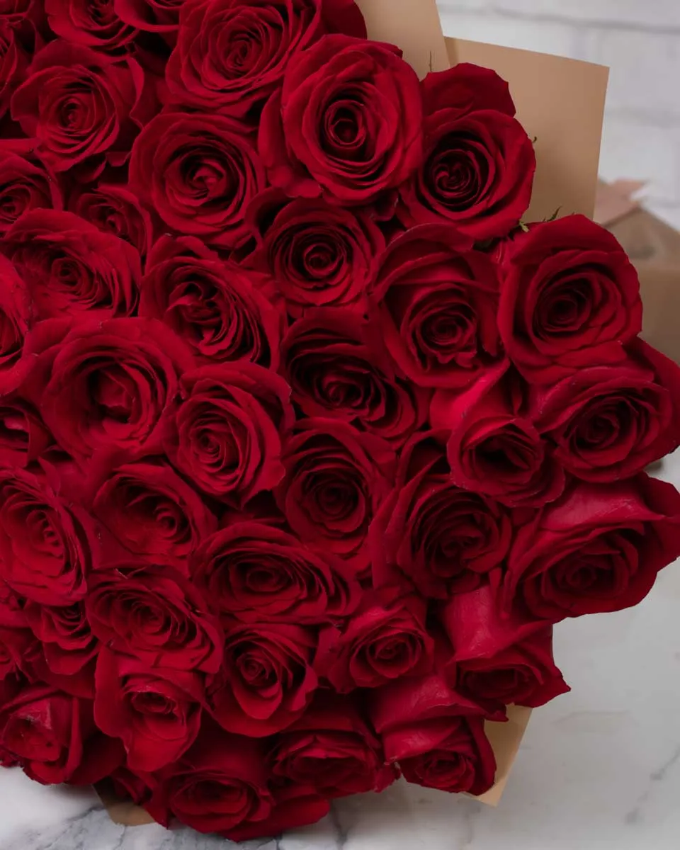 grande red rose detailed 2