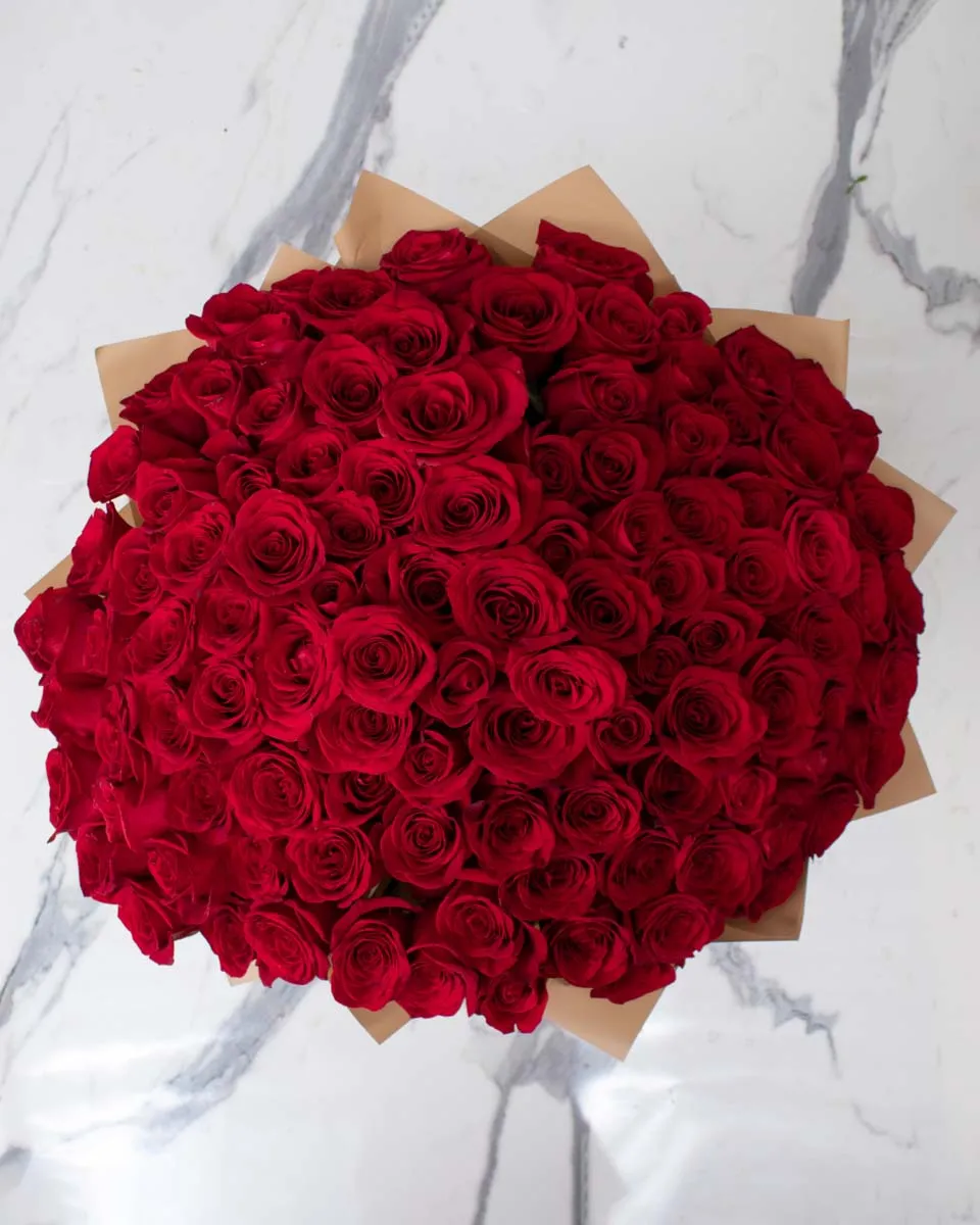 grande red rose detailed