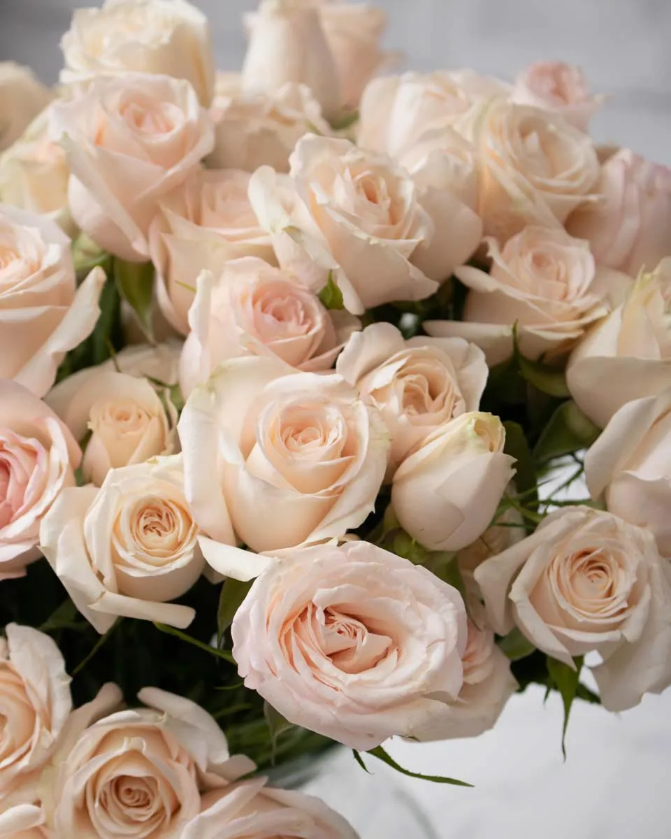 heavenly blooms super bubbles detailed 2 beige 1