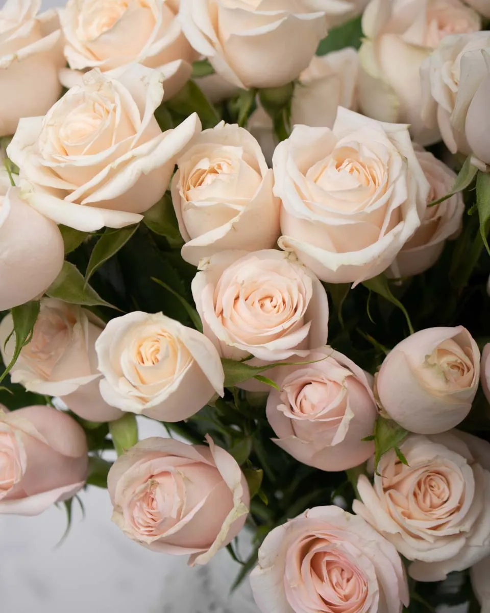 heavenly blooms super bubbles detailed 3 beige 1