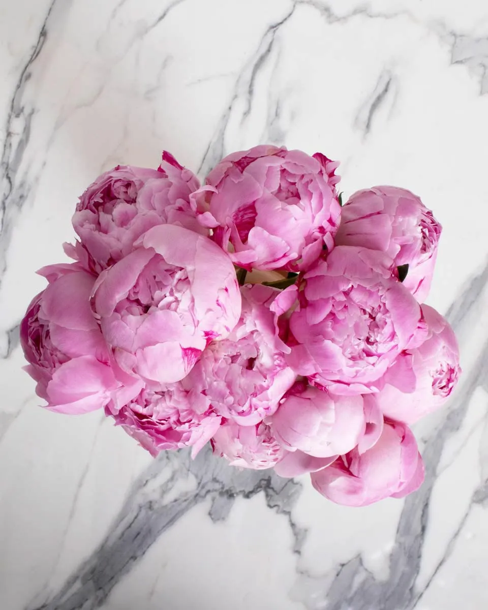 love peonies detailed 3