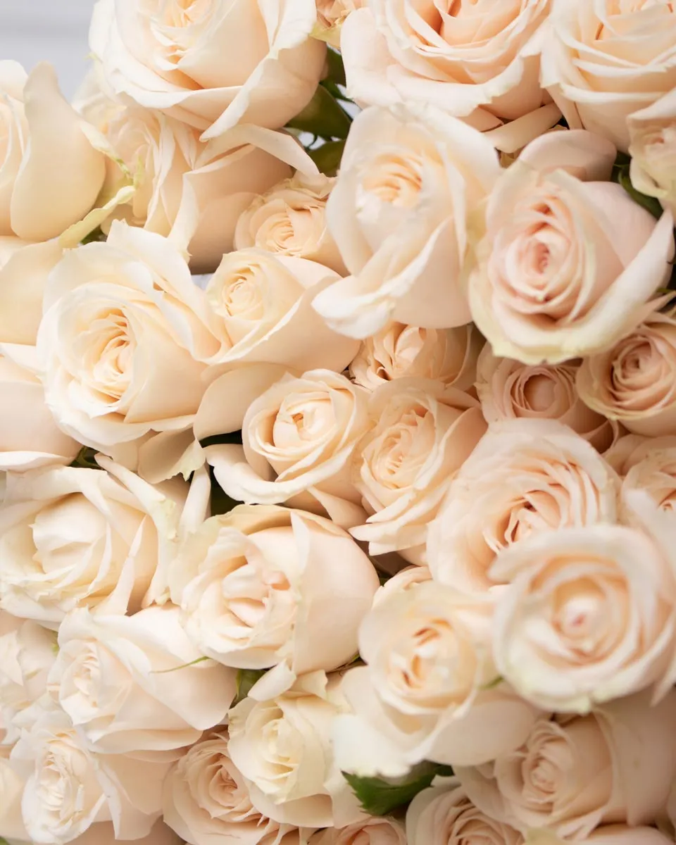 marvelous detailed 1