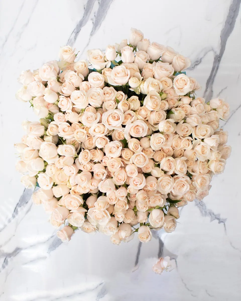 marvelous detailed 2