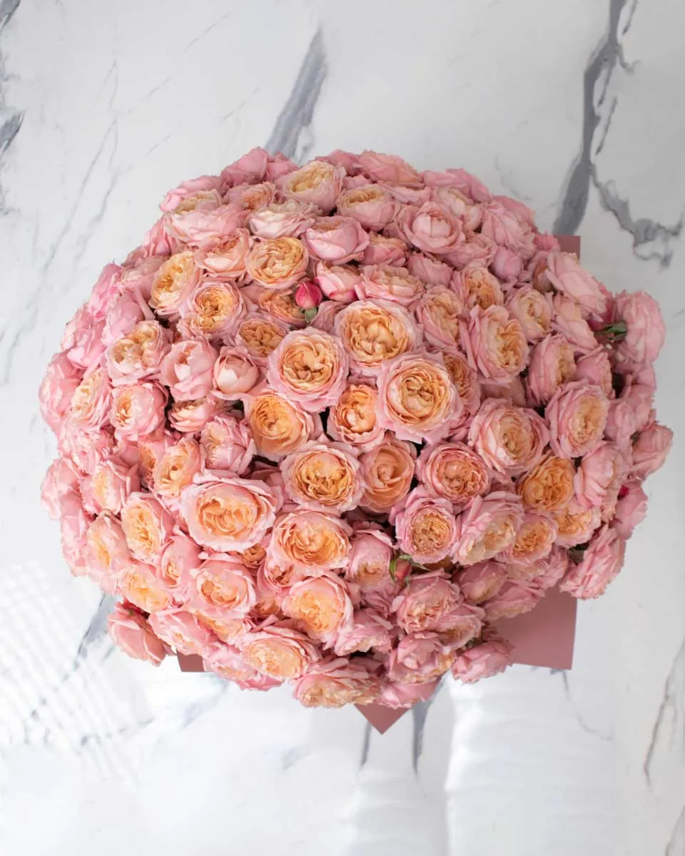 marvelous julieta detailed