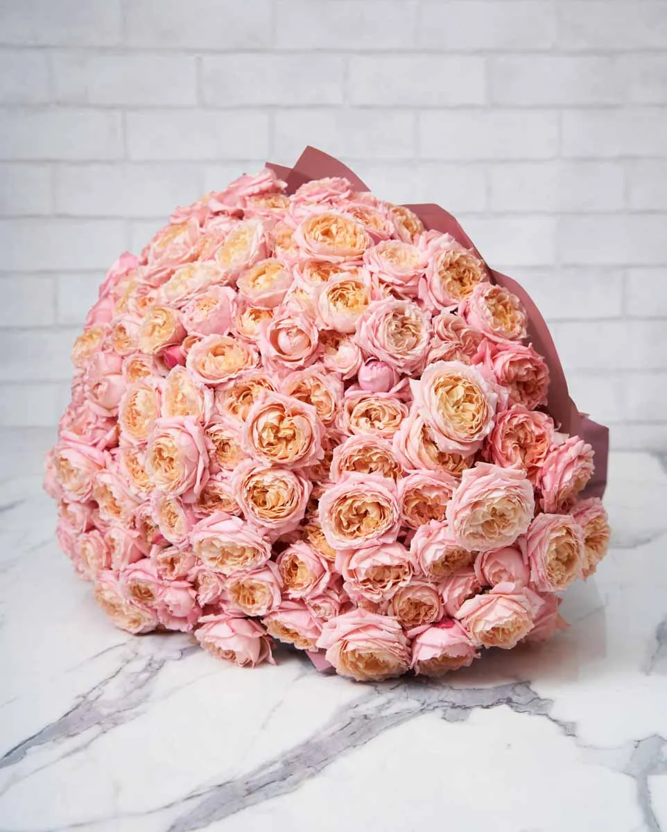 marvelous julieta salmon original