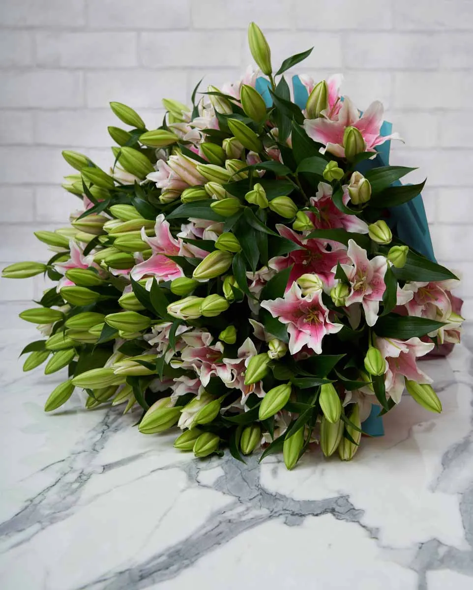 mega lily 50 pink blue wrap