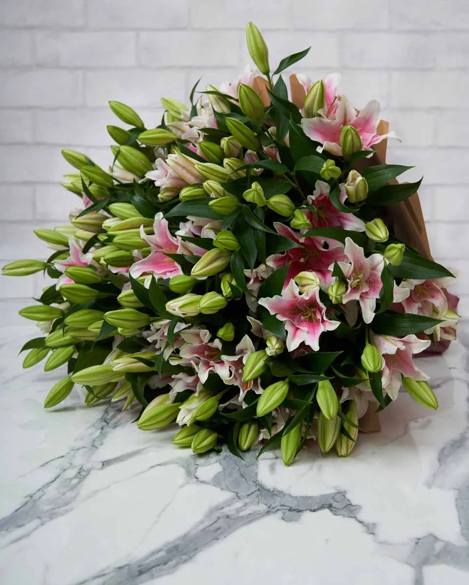 mega lily 50 pink brown wrap