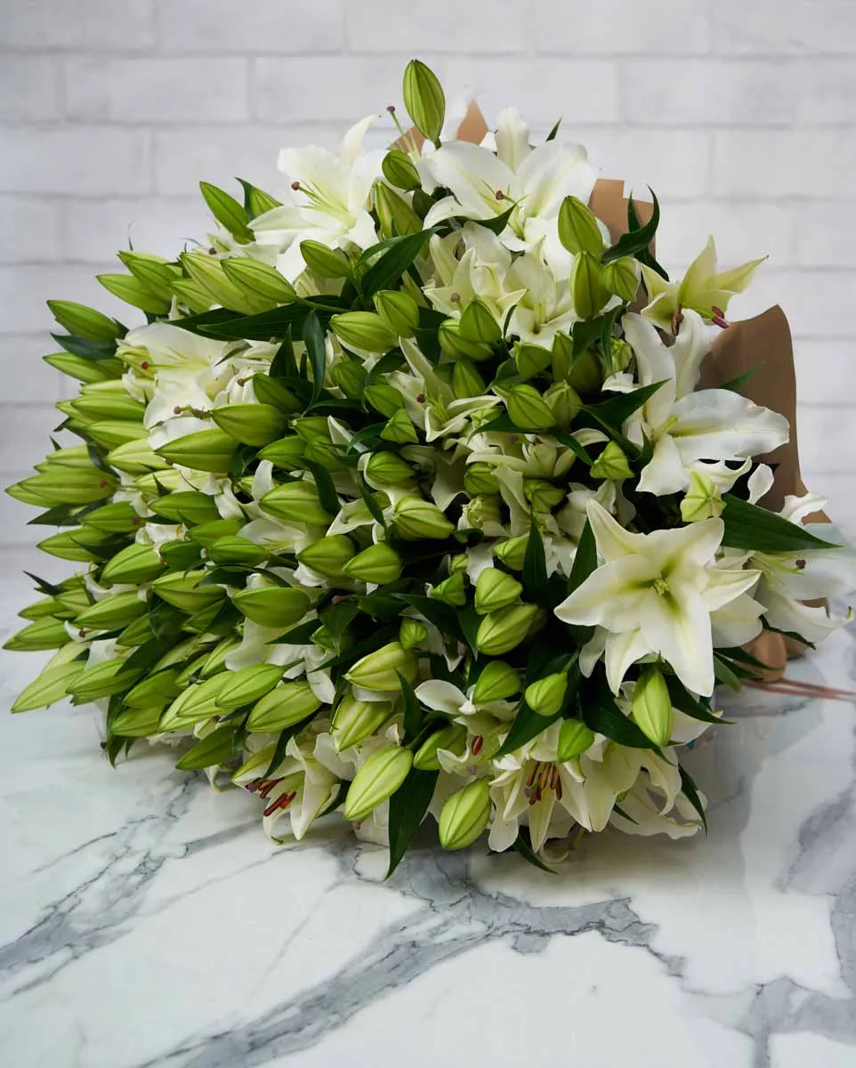 mega lily 50 white brown wrap