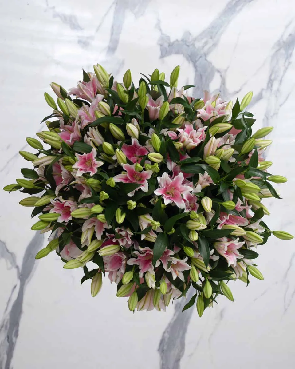 mega lily pink 50 detailed 1