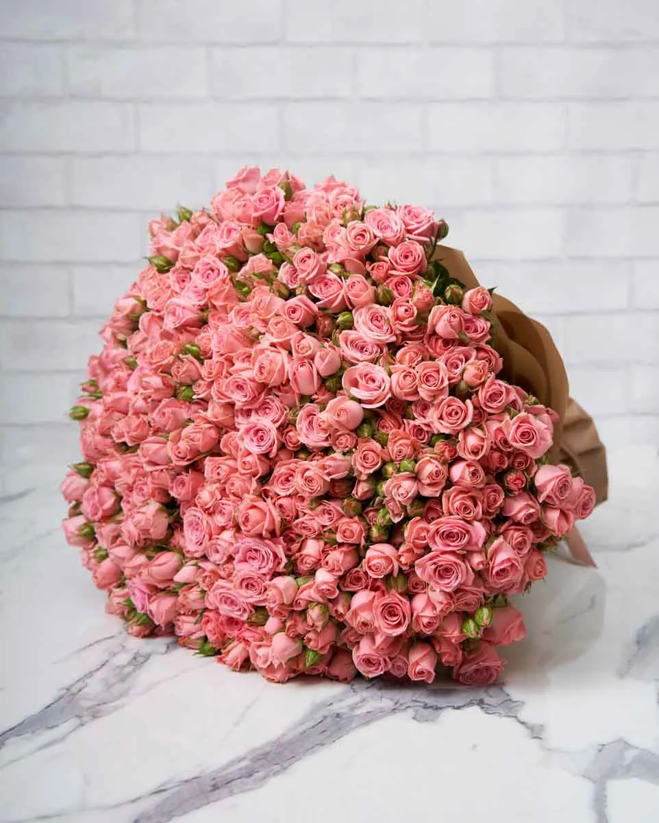 mega odilla original