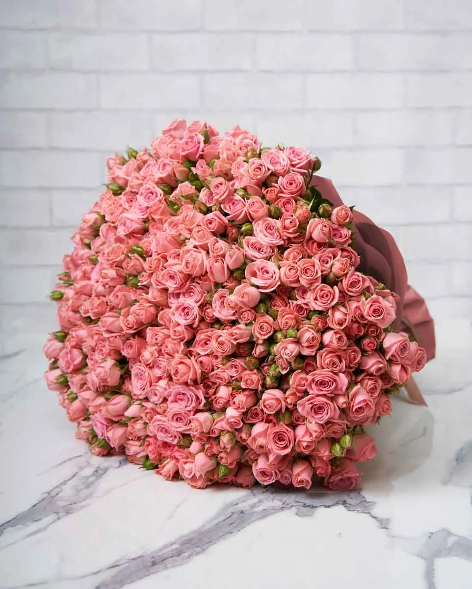 mega odilla pink wrap