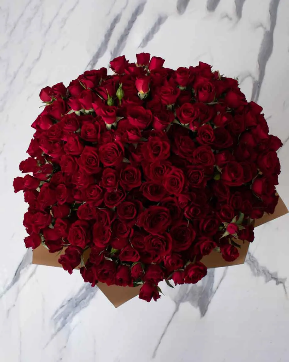 red melody detailed 1