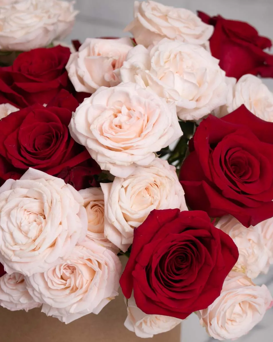 romantic heart detailed 2 1