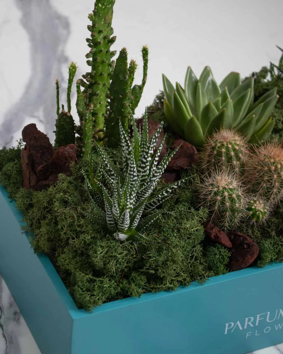 seychelles detailed 1 1