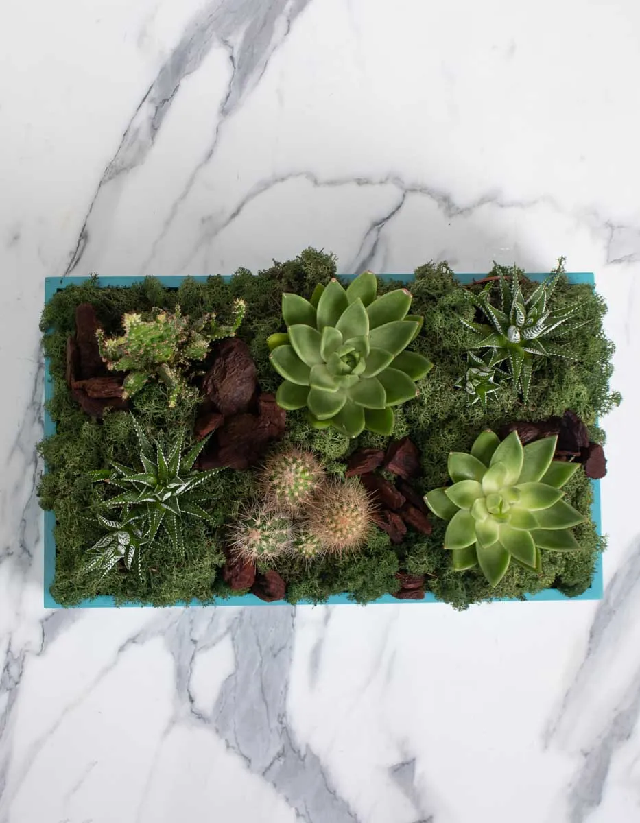 seychelles detailed 2 1