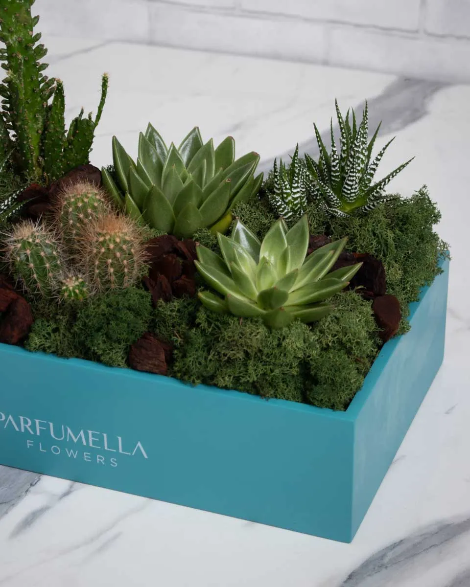 seychelles detailed 3 1