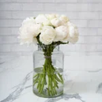 so chic peony claude tain 1