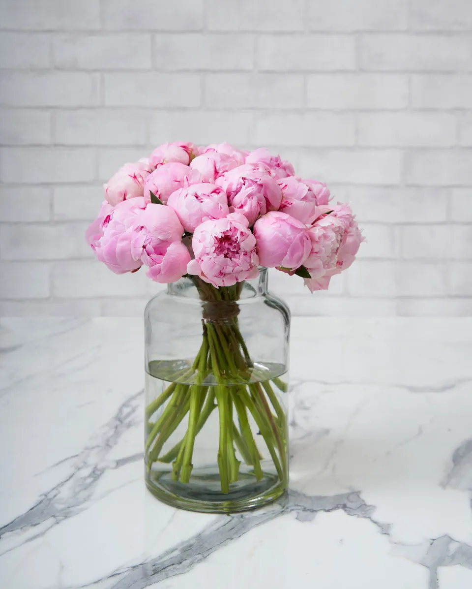 so chic peony sb pink 1