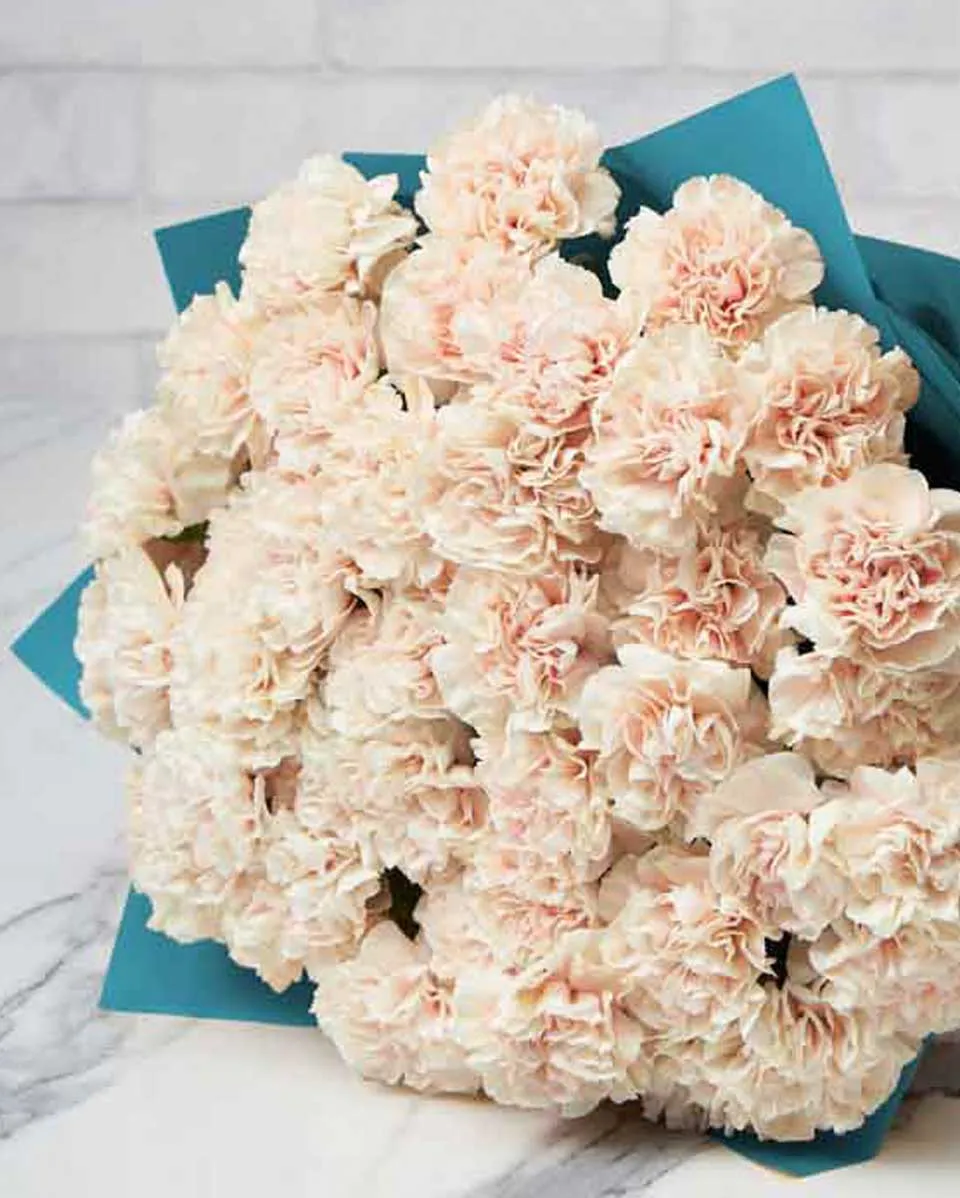 special carnation Apple Tea  blue wrap Details