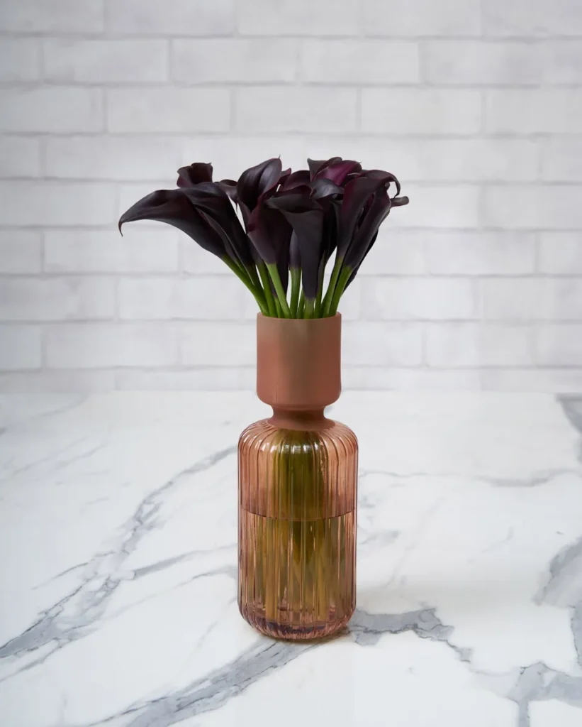 sweet calla lily dark purple tinted 1