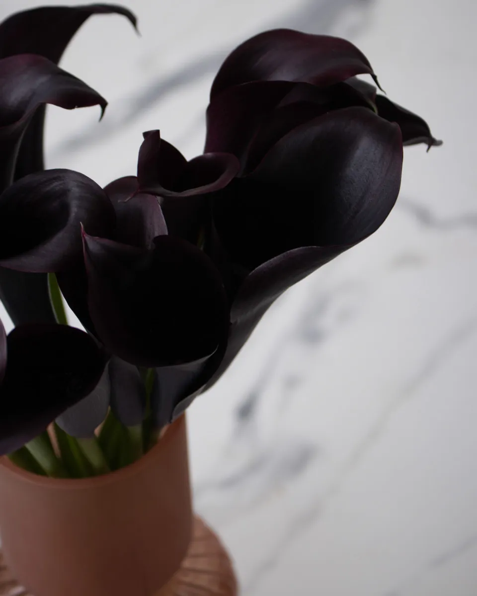 sweet calla lily dark purple tinted detailed 2 1