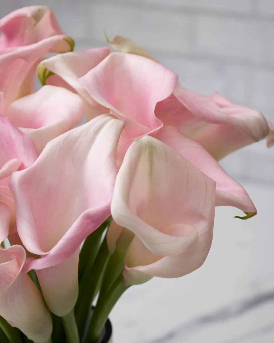 sweet calla lily pink gold detailed 2 1