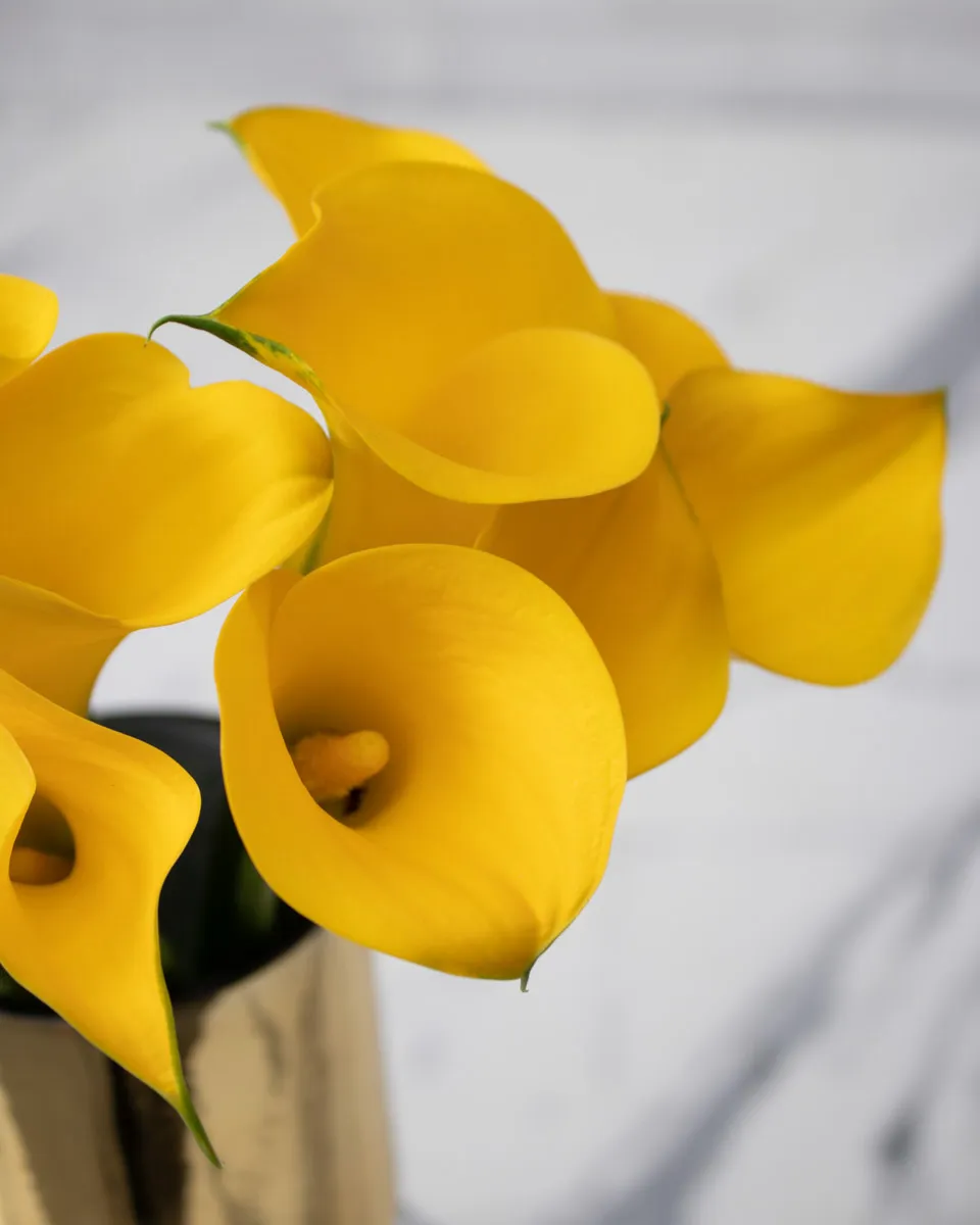 sweet calla lily yellow gold detailed 2