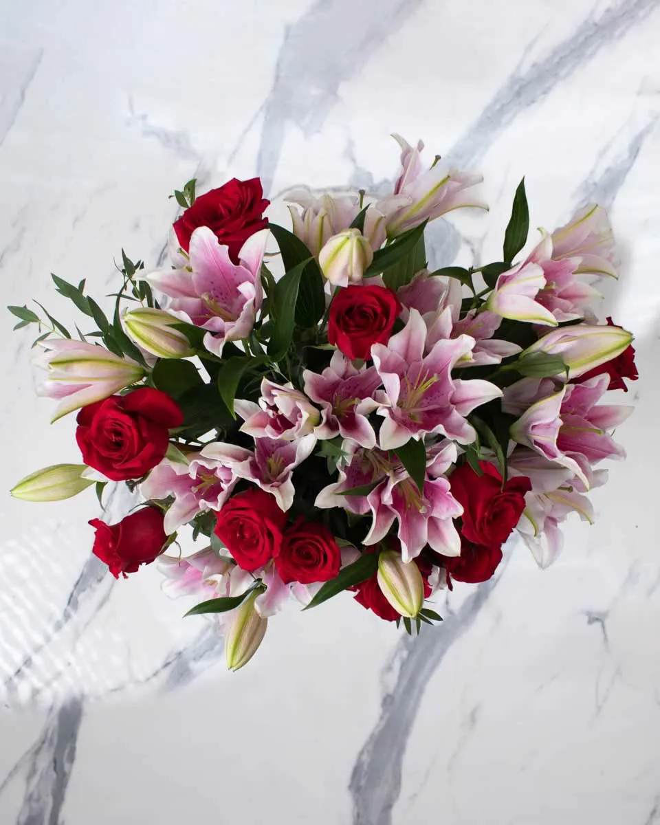 timeless touch detailed 1