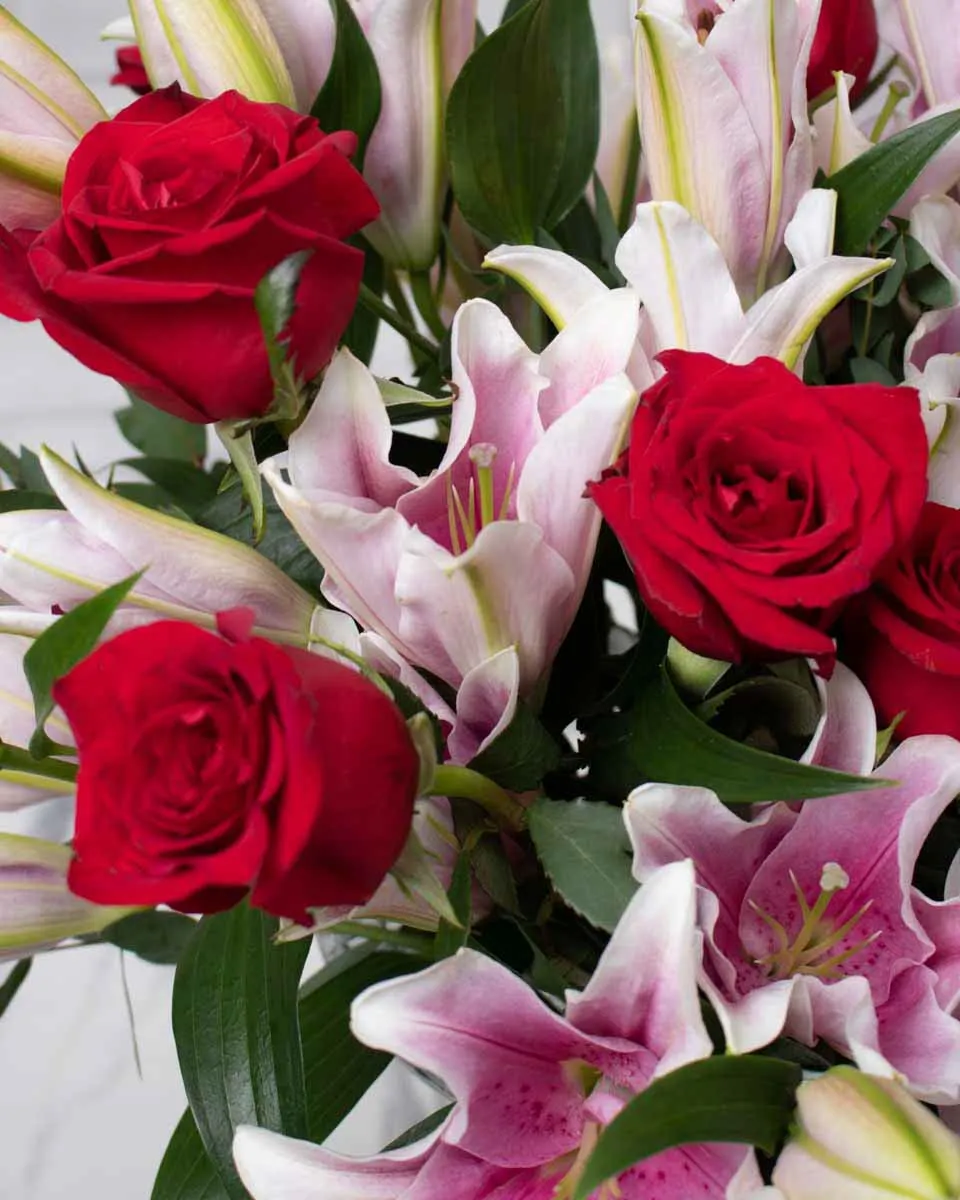 timeless touch detailed 2 1