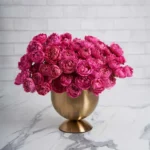 victoria julieta cerise 1