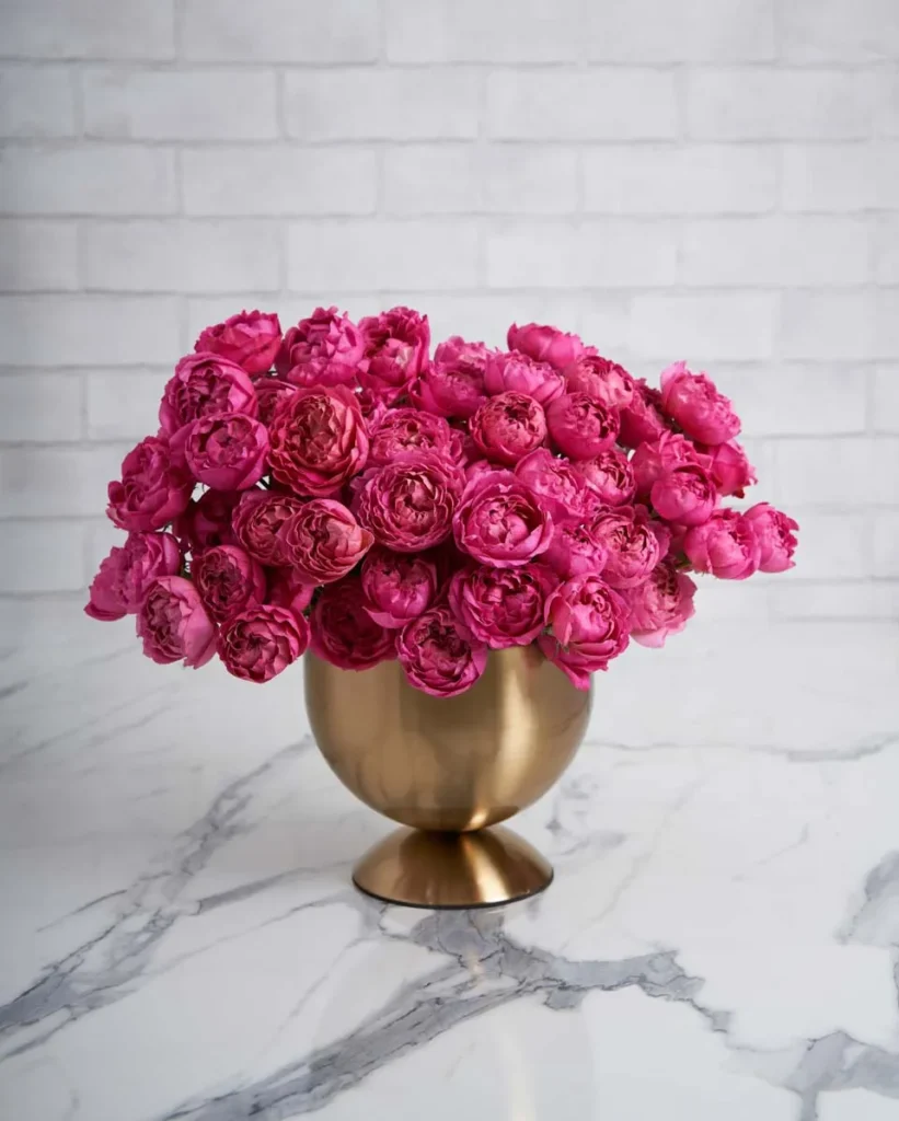 victoria julieta cerise 1