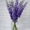 whimsical delphinium purple2