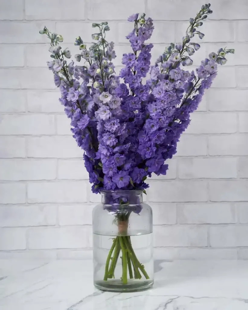 whimsical delphinium purple2