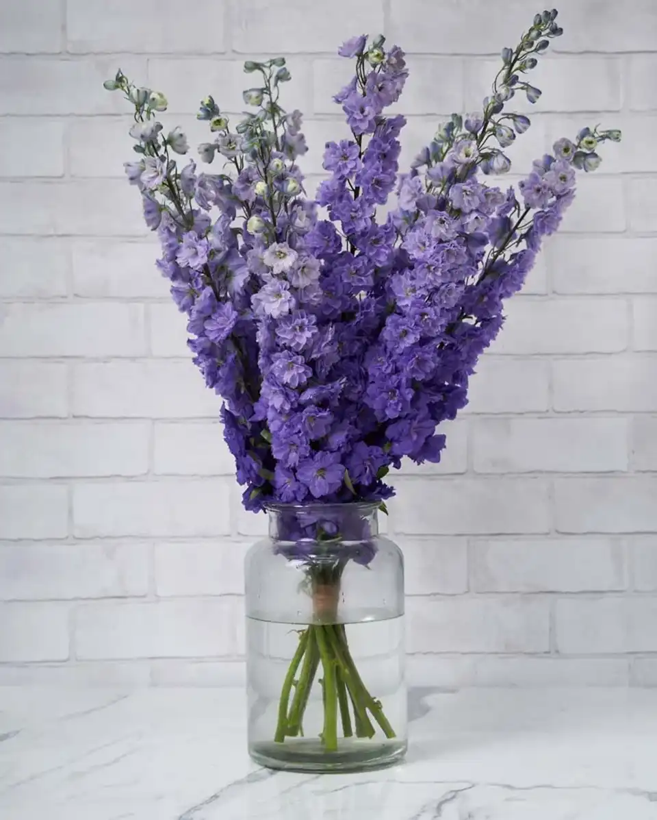 whimsical delphinium purple2