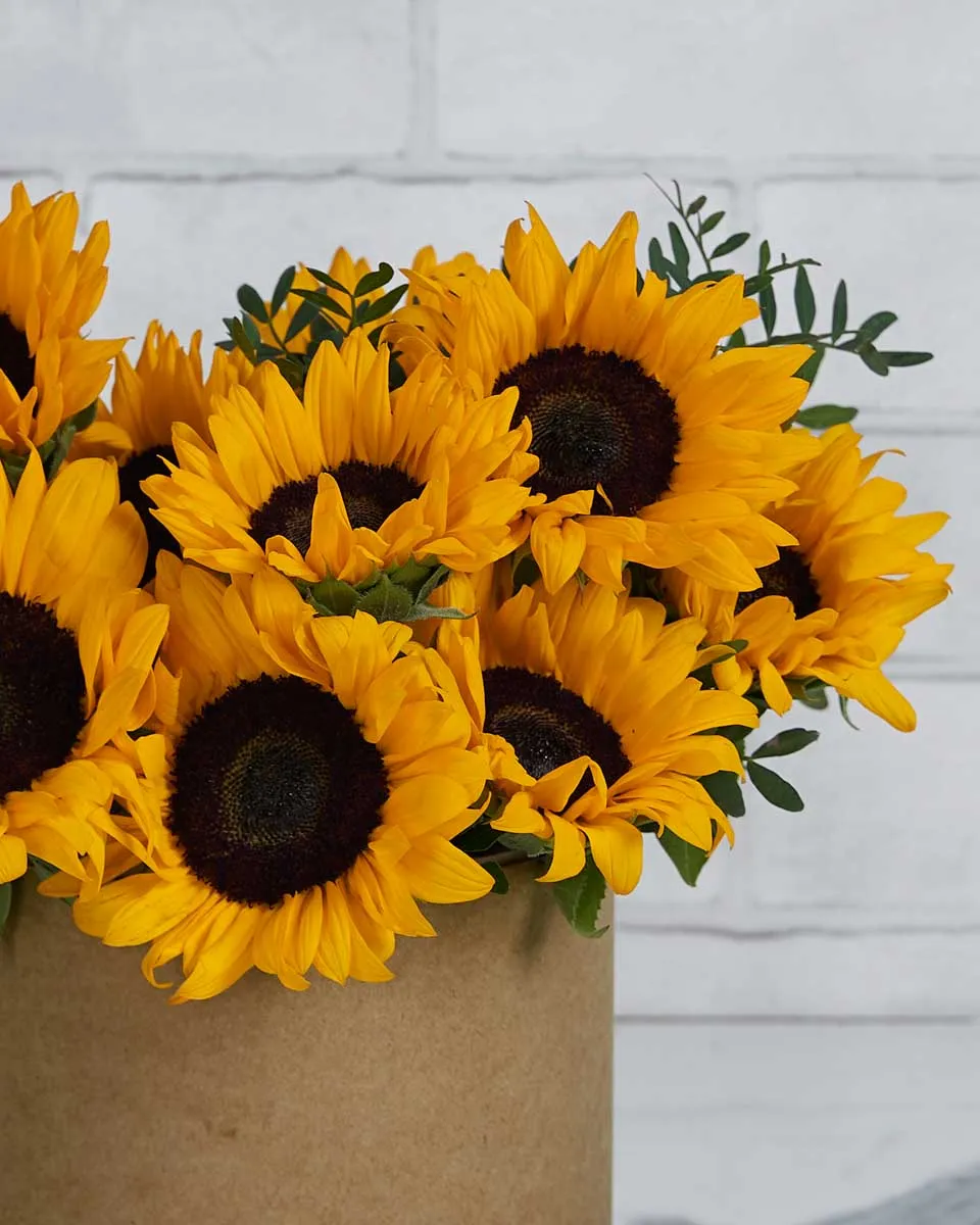 Sunflowers on a Box Medium Brown Details