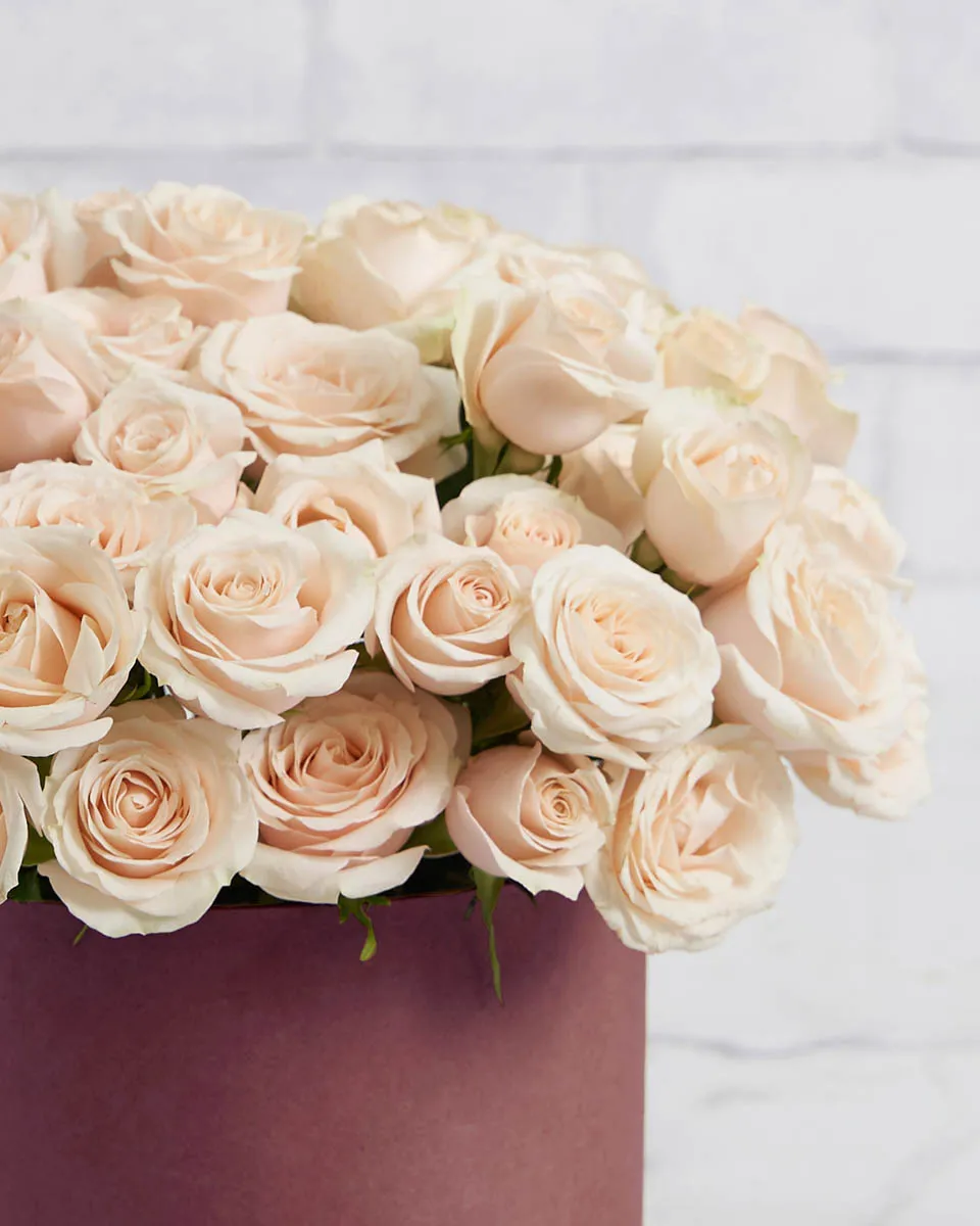 rosa bubble medium Pink Details