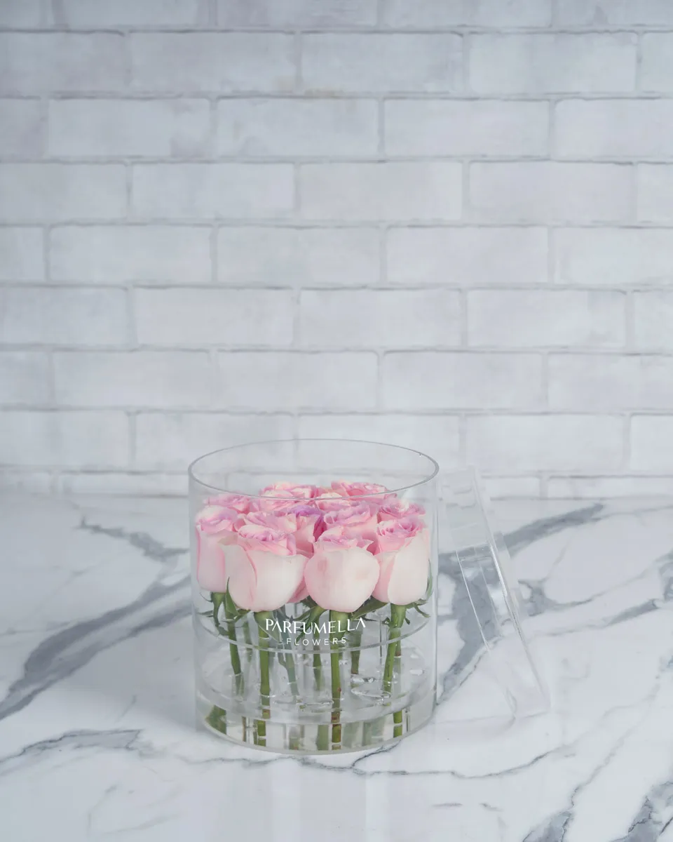 13 Love light pink 13 stems Edited